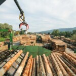 Holzwerke Riedlinger
